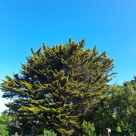 Le Stud' A Saint Pierre D'Oleron !アパートメント 部屋 写真