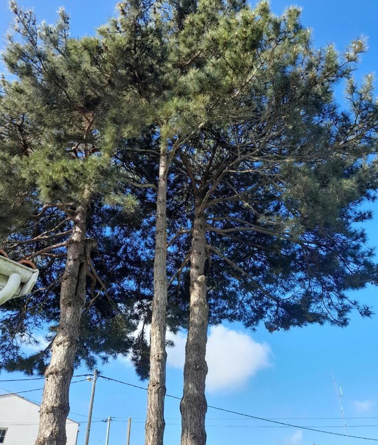 Le Stud' A Saint Pierre D'Oleron !アパートメント エクステリア 写真